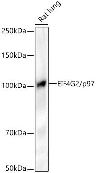 A21193_2.jpg