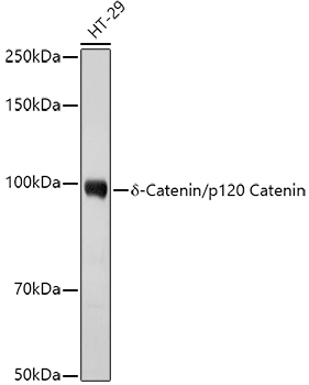 A21371_1.jpg