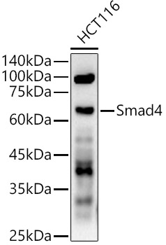 A21487_1.jpg
