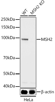A21494_2.jpg