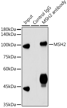 A21494_3.jpg