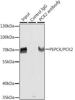 A21529_7.jpg