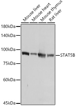 A21613_1.jpg