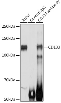 A21701_8.jpg