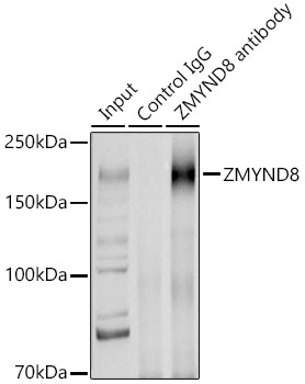 A21848_2.jpg