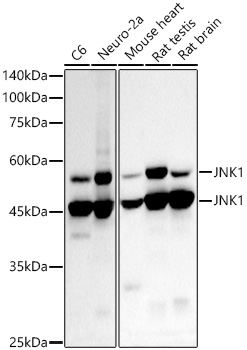 A21888_1.jpg