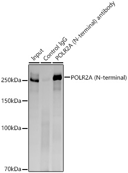 A21980_2.jpg