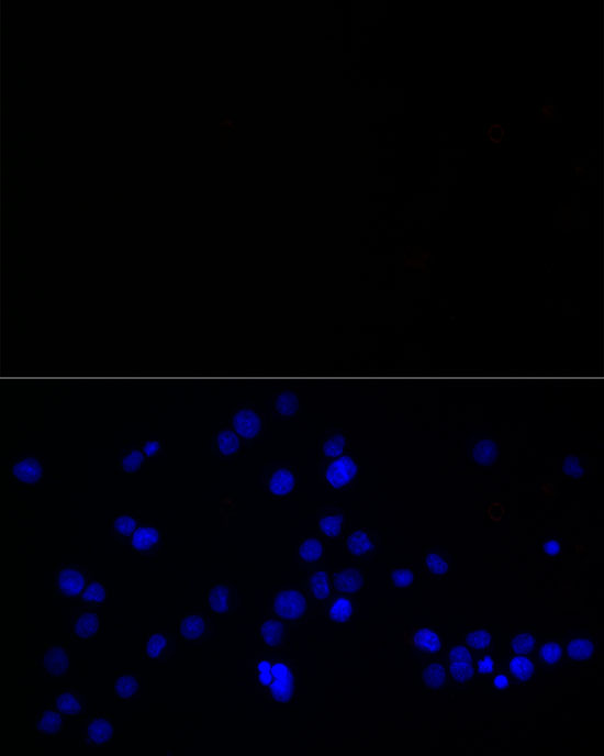 A22010_3.jpg