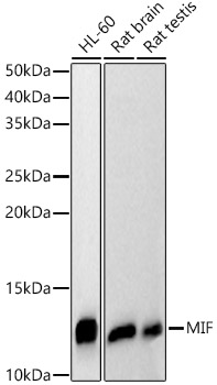 A22014_1.jpg