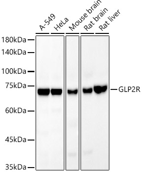 A22049_1.jpg