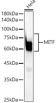 A22091_1.jpg