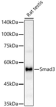 A22133_2.jpg
