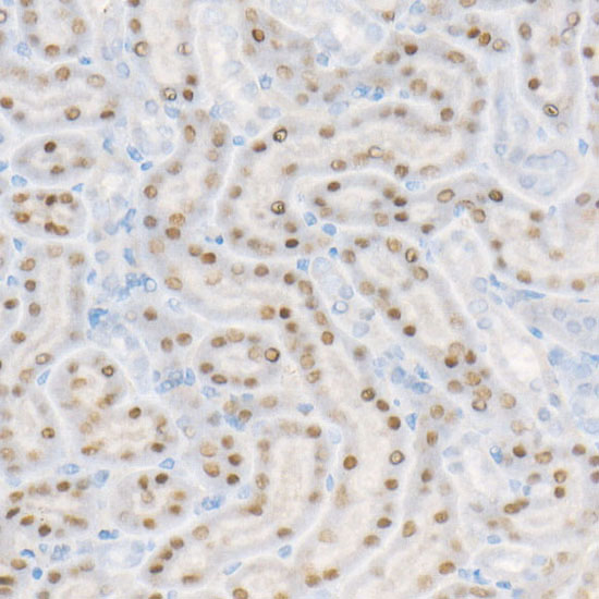 A22139_1.jpg