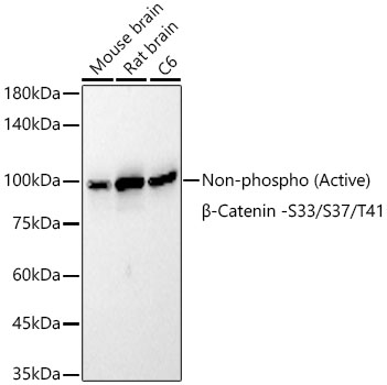 A22180_1.jpg