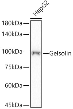 A22184_1.jpg