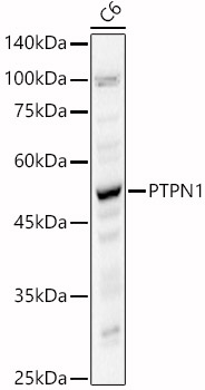 A22243_3.jpg