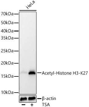 A22264_2.jpg