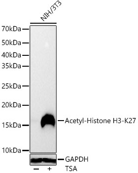 A22264_3.jpg