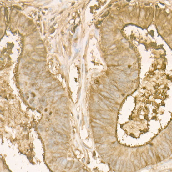 A22266_2.jpg