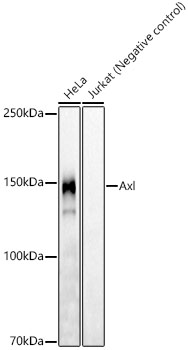 A22388_1.jpg