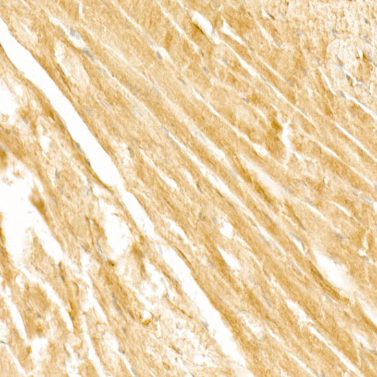 A22467_5.jpg