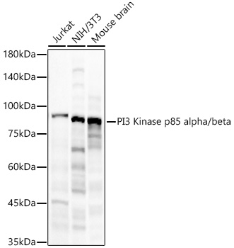 A22487_1.jpg