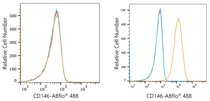 A22520_1.jpg