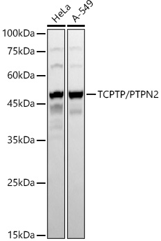 A22564_1.jpg