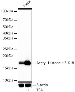 A22566_1.jpg