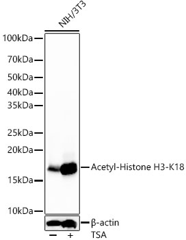 A22566_3.jpg