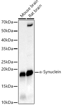 A22598_1.jpg