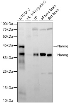 A22625_1.jpg
