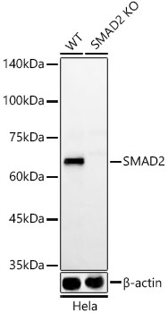A22635_2.jpg