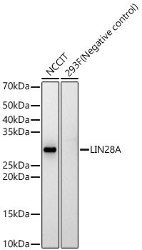 A22648_2.jpg