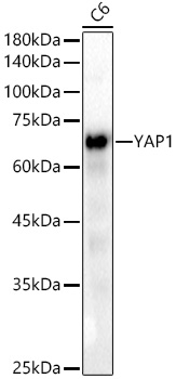 A22650_2.jpg