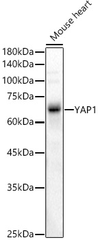 A22650_3.jpg