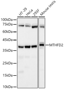 A22653_1.jpg