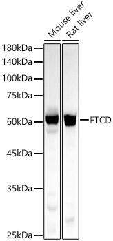A22655_1.jpg