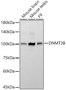 A22658_1.jpg