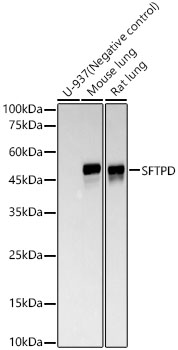 A22660_1.jpg