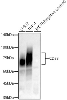 A22704_1.jpg