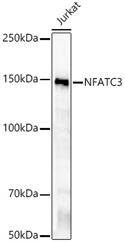 A22710_1.jpg