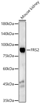 A22711_1.jpg