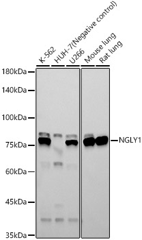 A22761_1.jpg
