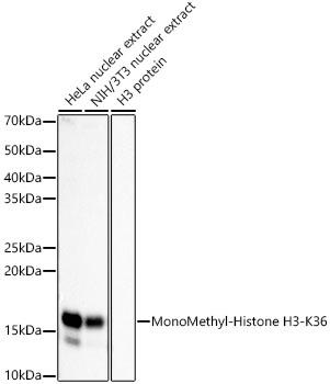 A22863_1.jpg