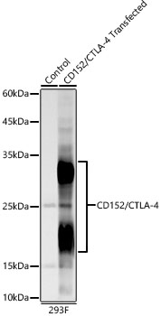 A22865_1.jpg