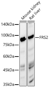 A23135_1.jpg