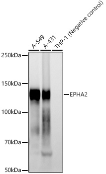A23177_1.jpg