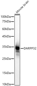 A23282_2.jpg