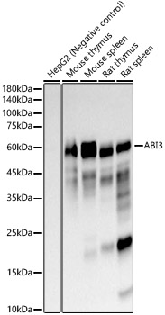 A23283_1.jpg